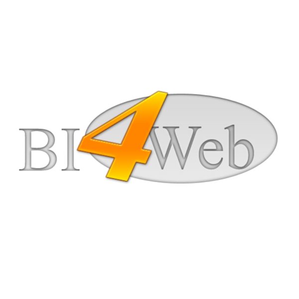 Business Intelligence – BI4Web